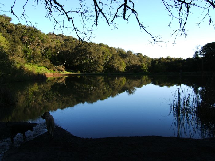 Scenic Look-out Point in Marin County 